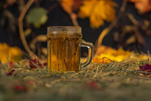秋叶背景下的草茶 — 图库照片