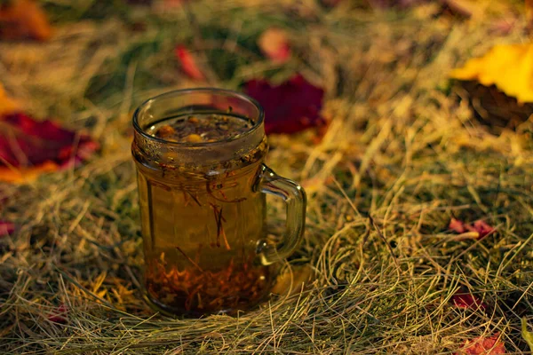Herbal Tea Background Autumn Foliage — Stock Photo, Image