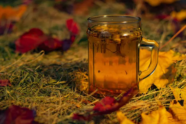 Herbata Ziołowa Tle Jesiennych Liści — Zdjęcie stockowe