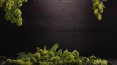 Bir adamın eli siyah bir arka plana kocaman bir bardak bira koyar.