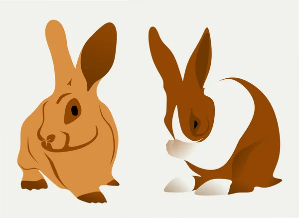 Due Elementi Grafici Vettoriali Coniglio Design Decorazione — Vettoriale Stock
