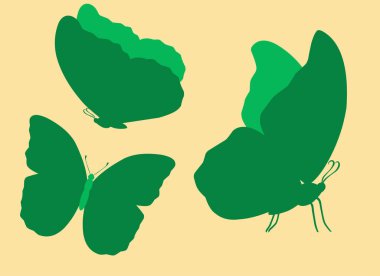 set butterfly symbol vector illustration for design