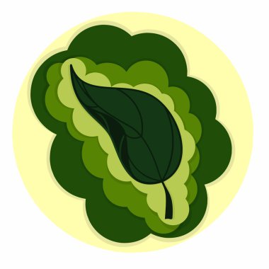 Watercolor green tea leaves set closeup isolated on white background