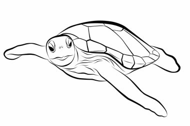 Beyaz arka planda deniz kaplumbağasının vektör çizimi. Davetiyeler, tebrik kartları, kartpostallar, moda baskısı, afişler, tekstil afişleri, moda tasarımı için mükemmel..