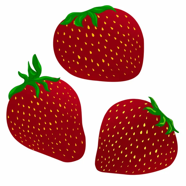 Set Aus Realistischen Frischen Erdbeeren Mit Blättern Früchte Halbiert Früchte — Stockvektor