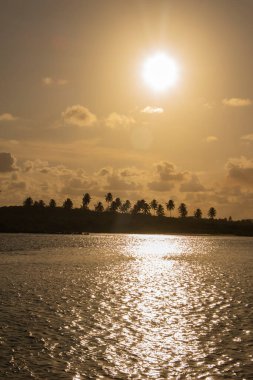 2022 Ekim 'inde Brezilya' nın Porto de Galinhas plajında insanlar eğleniyor..