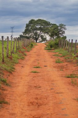 Brazilian SavannahThis landscape are located in centre of Brazil.