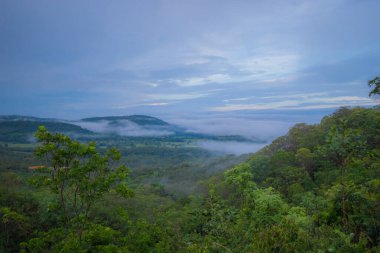 Brazilian SavannahThis landscape are located in centre of Brazil.