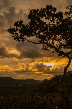 Brazilian SunsetVery beautiful, the sunsets in brazilian savannah has many colors.