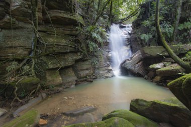 Brazilian WaterfallThis waterfall is very beautiful and cold.