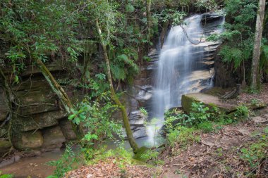 Brazilian WaterfallThis waterfall is very beautiful and cold.