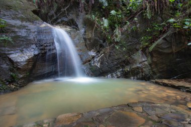 Brazilian WaterfallThis waterfall is very beautiful and cold.