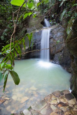 Brazilian WaterfallThis waterfall is very beautiful and cold.