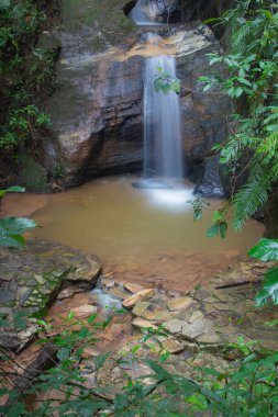 Brazilian WaterfallThis waterfall is very beautiful and cold.