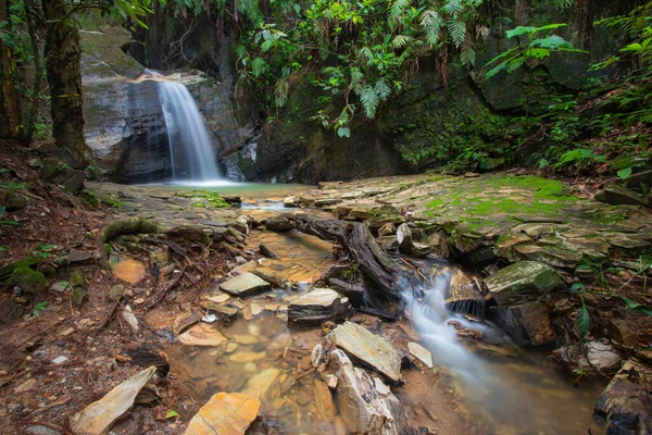 Brazilian Waterfallthis Waterfall Very Beautiful Cold Stock Obrázky