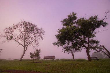Sunrise, peace and silence at beautiful brazilian savannah.