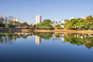 Goiania şehrindeki Buritis Park 'ta güzel bir güneş. Haziran 2023, Goiania, Brezilya.