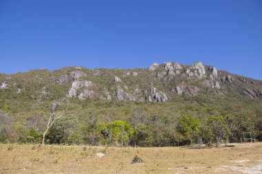 Brezilya 'nın Merkezinde Güzel Savannah Manzarası.