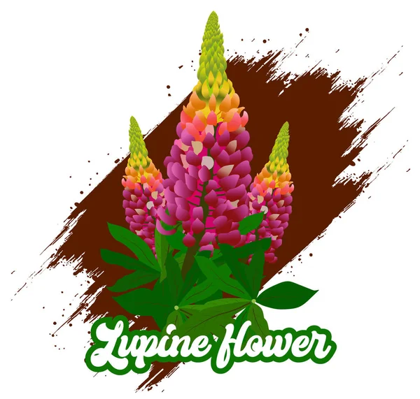 Lupinus, baklagiller (Fabaceae) familyasından baklagiller (Fabaceae) familyasından bir bitki cinsidir.. 