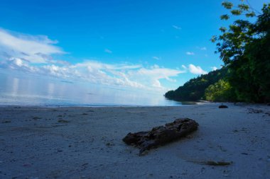 Sahilde, arka planda mavi gökyüzü olan odun parçaları.
