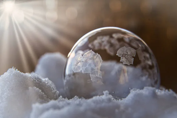 Frozen soap bubble with sun rays in background