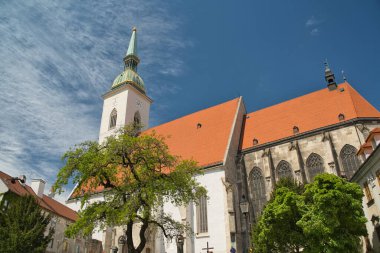 Bratislava 'daki St. Martin Katedrali - Slovakya - önlerinde mavi gökyüzü ve ağaçlarla alçak bir perspektiften fotoğraflandı
