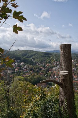 Yukarıdan önplanda testereyle kesilmiş bir ağaç ile Wernigerode 'un üzerinden görüş