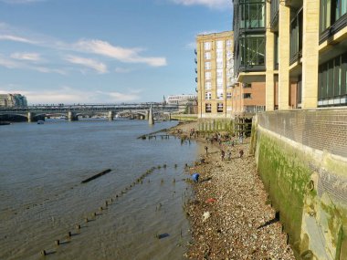 Thames Nehri 'ndeki insanlar gelgitte midye arıyorlar.