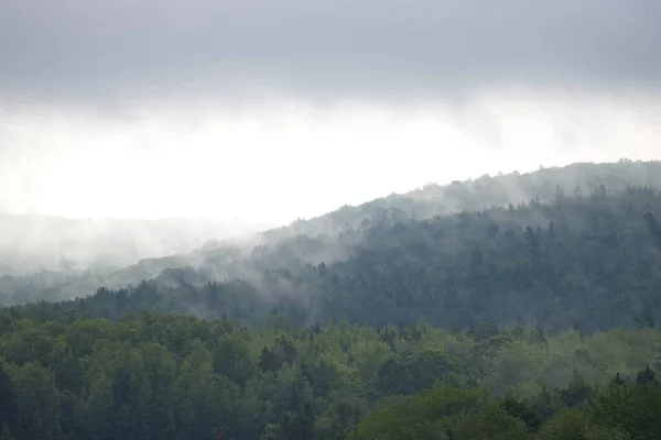 Vert Collines Couvertes Arbres Dans Brume Brouillard Matin — Photo