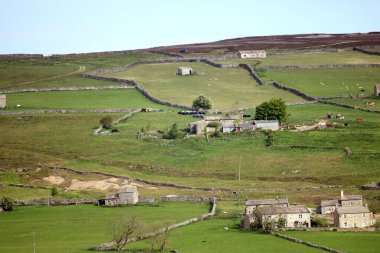 Yorkshire Dales manzaralı kaya duvarları ve çiftlikleri