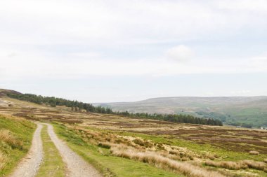 Bir kırsal şerit Yorkshire Dales Birleşik Krallığının tepelerini salladı.