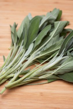 green sage on a wood background