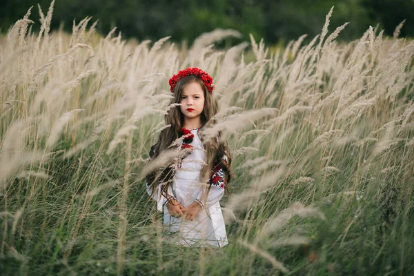 Молодая Девушка Длинными Волосами Украинской Национальной Вышивке Обруче Маком Улице — стоковое фото