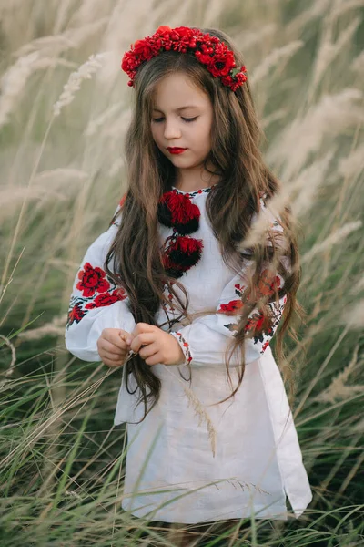 Ένα Νεαρό Κορίτσι Πολύ Μακριά Μαλλιά Στην Ουκρανική Εθνική Φόρεμα — Φωτογραφία Αρχείου