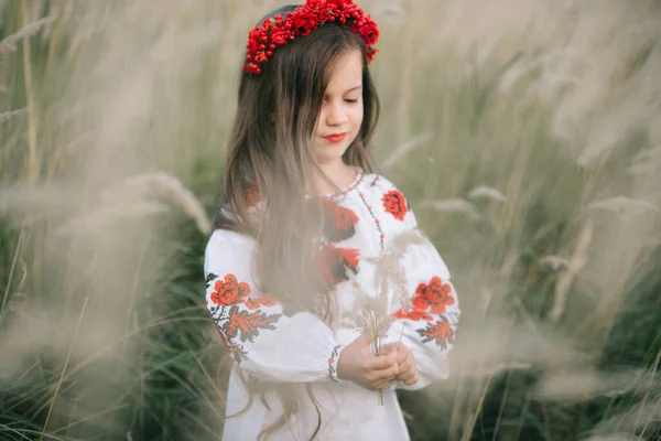 ウクライナの民族衣装の刺繍で非常に長い髪を持つ若い女の子と外側にケシでフープ メイク 赤い口紅 — ストック写真