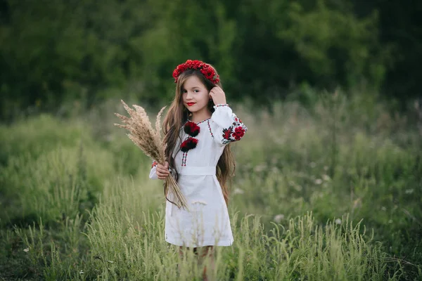 Молодая Девушка Длинными Волосами Украинской Национальной Вышивке Обруче Маком Улице — стоковое фото