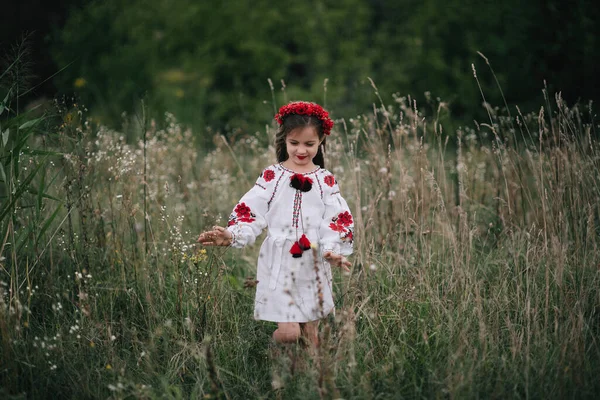 Ein Junges Mädchen Mit Sehr Langen Haaren Ukrainischer Nationaltracht Mit — Stockfoto
