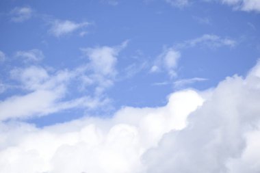 Ormanda bir haftalık yağmurdan sonra açık bir gökyüzü.