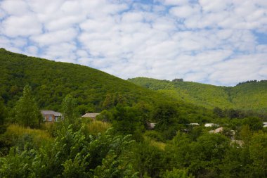 Kırsal kesimde ormanla çevrili özel evler.