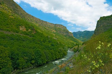 Yazın ormanlık ve kayalık dağların arasından geçen hızlı nehir.