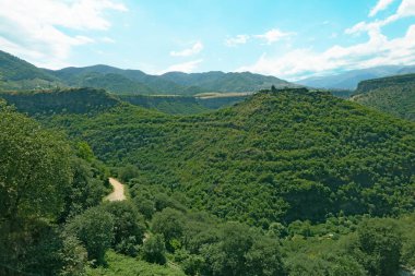 Ortaçağ Kayan kalesi bir tepenin üstünde, ormanlar ve yüksek dağlarla çevrili, arka planda plato olan, güneşli bir yaz gününde