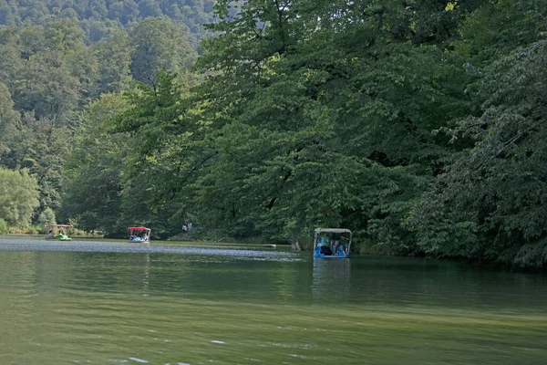 人々は背景の緑の森に対して 穏やかな山の湖でカタマランに乗る — ストック写真