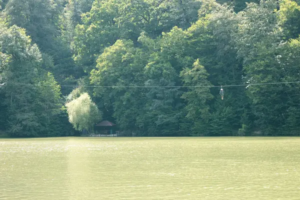 Mladá Žena Zipline Nad Jezerem Parz Clear Zeleném Lese Pozadí — Stock fotografie