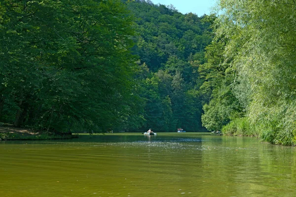 人々は夏に緑の森を背景に穏やかな山の湖でボートやカタマランに乗る — ストック写真