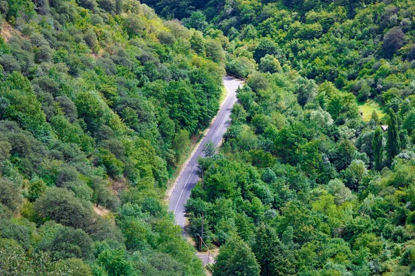 Зигзагообразная Кривая Дорога Через Зеленый Густой Лес Горах Летом Снятая — стоковое фото