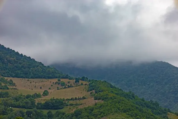 山のチェーンの森や牧草地で霧の日に覆われ 低ぶら下げ雲の下で 雲に覆われた山のピーク — ストック写真