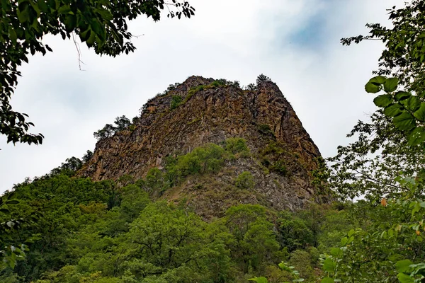 Einzelne Felsen Teilweise Mit Wald Bedeckt Gegen Einen Bewölkten Himmel — Stockfoto