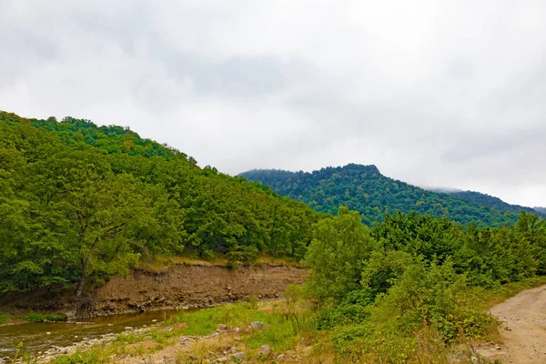 川は曇りの日に緑豊かな森に覆われた山の中を流れている 山のヒント霧に覆われている — ストック写真