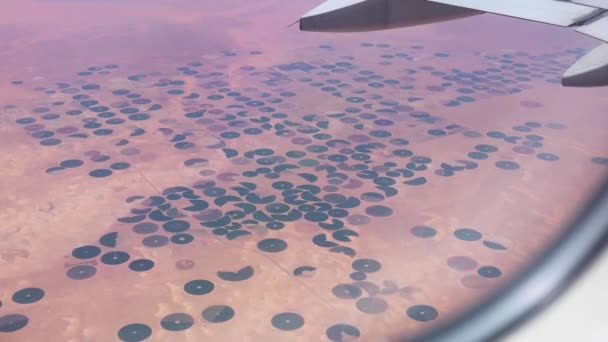 Několik Kruhových Farem Zastřelených Letadla Letícího Vysoko Nad Saúdskou Arábií — Stock video
