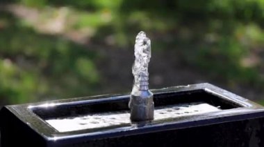 (Bu da) yemyeşil ağaçlardan ve otlardan oluşan serin bir pınardandır..